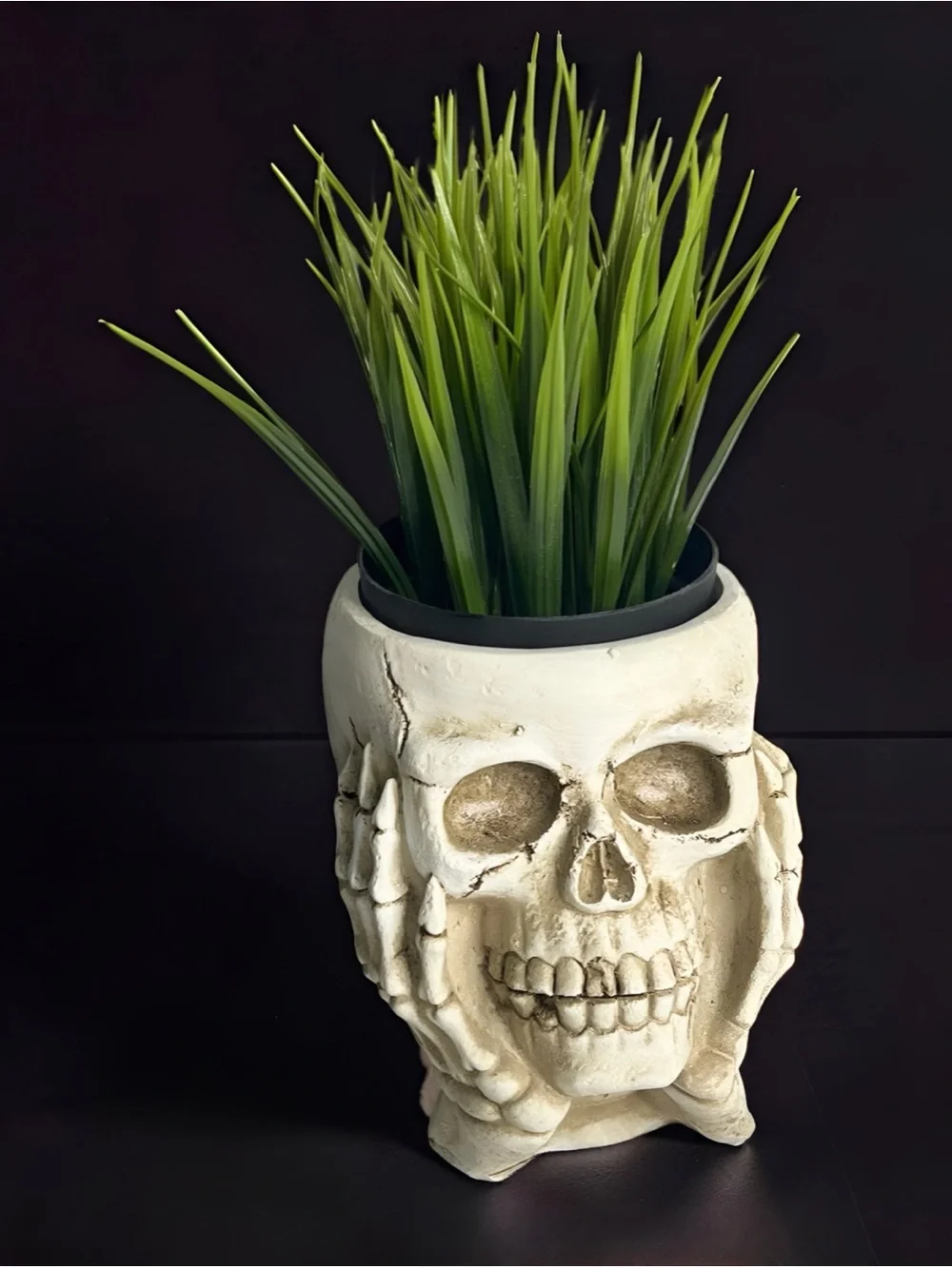 Gothic Resin Skull Flower Pot Planter